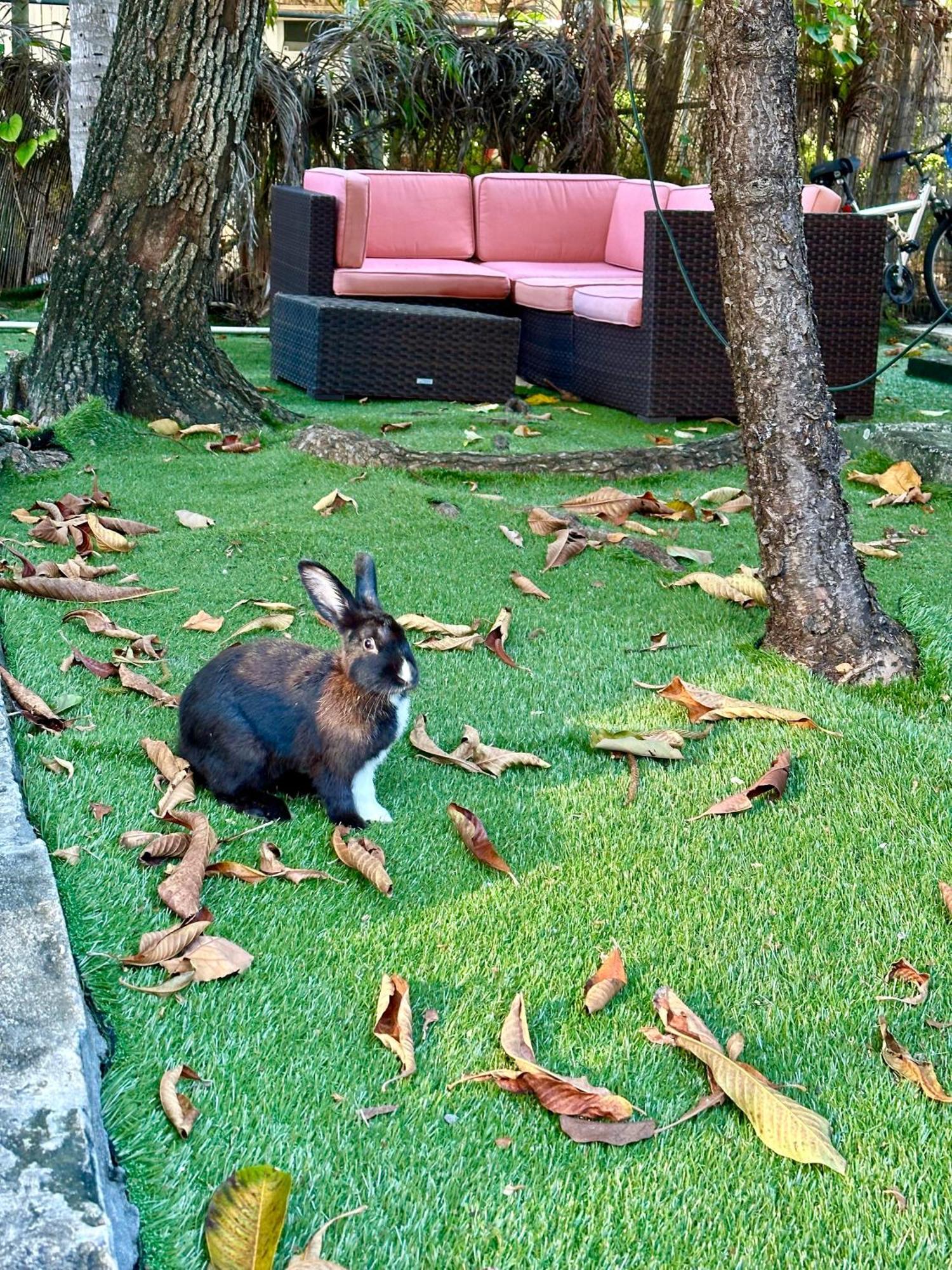Miami House Hotel Kültér fotó